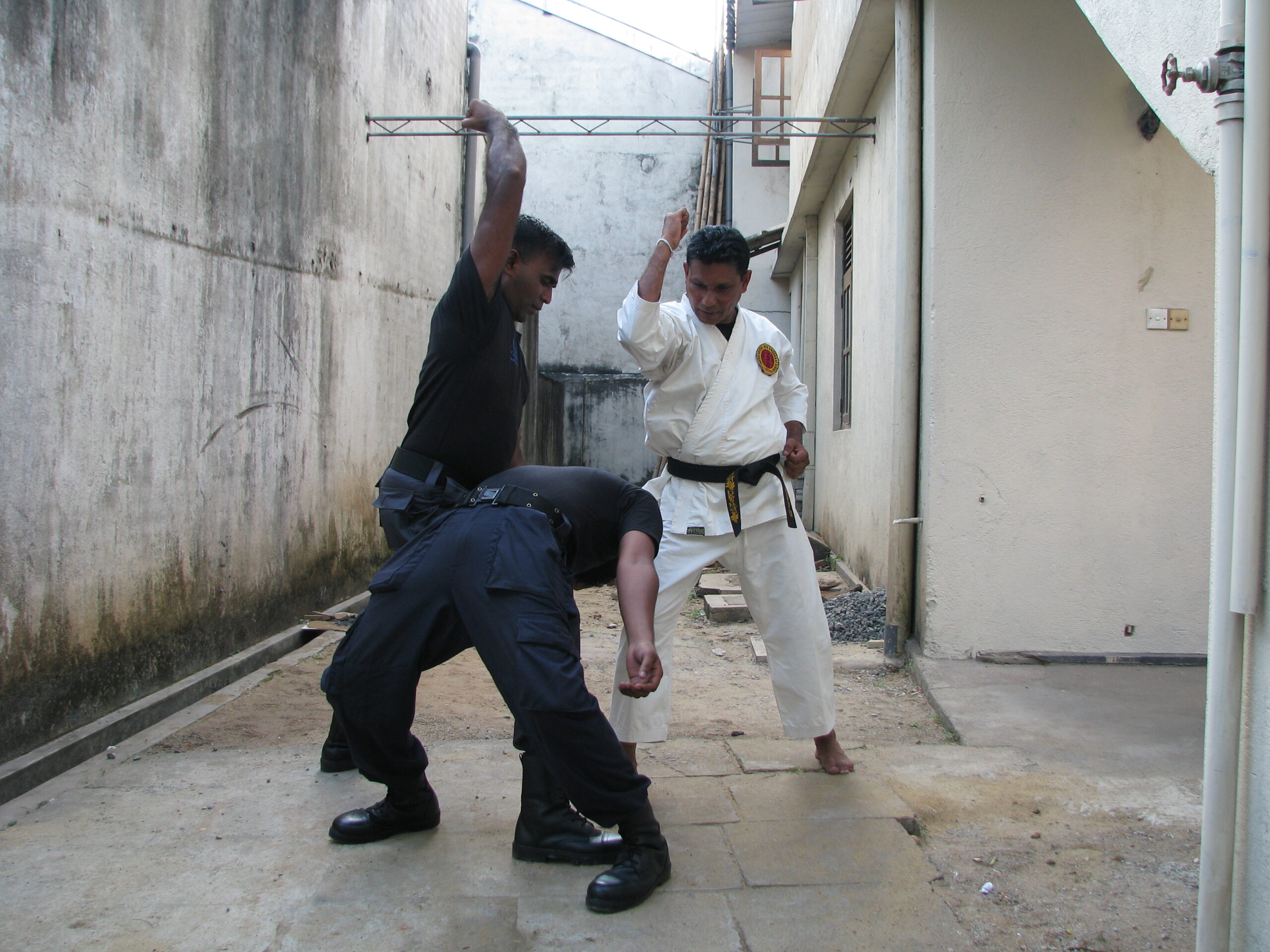 Martial arts training
